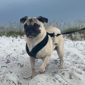 Meet your Posher, Trinity